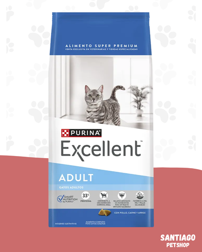 Excellent adult cat