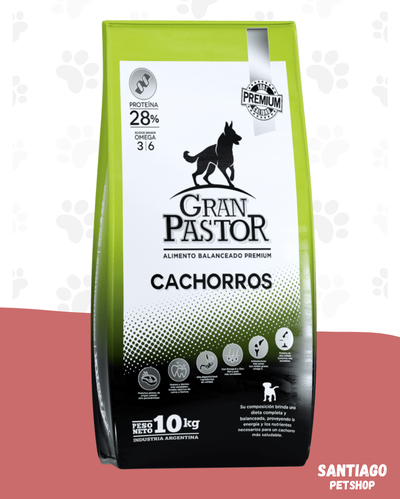 Gran pastor cachorro 