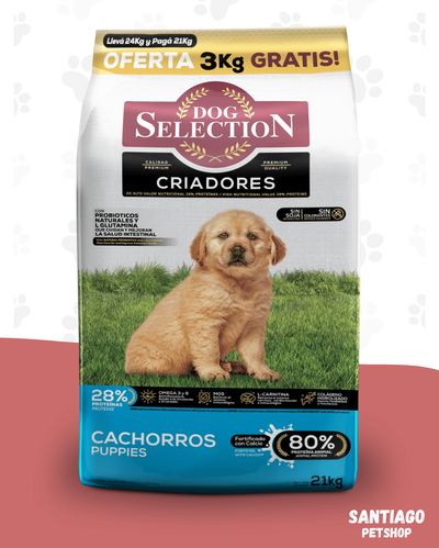 Dog selection criadores cachorro