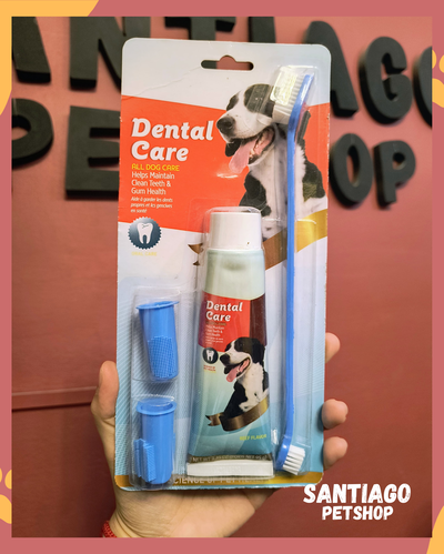Set dental