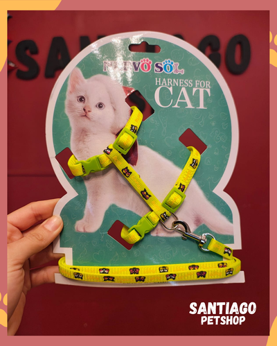 Conjunto para gatos fluo