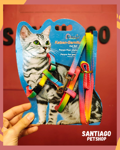 Conjunto para gatos colores 