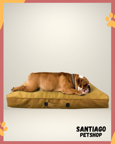 Cama Houston premium 