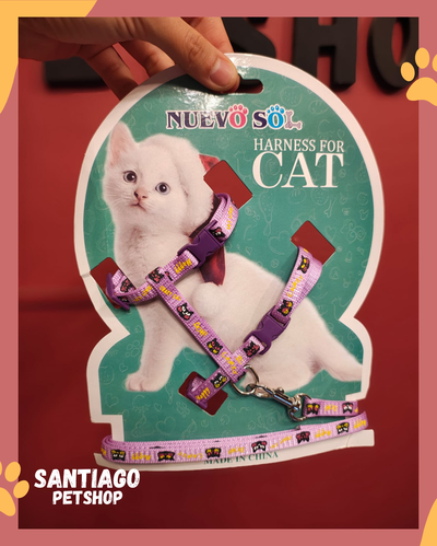 Conjunto para gatos Buho