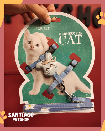 Conjunto para gatos conejito