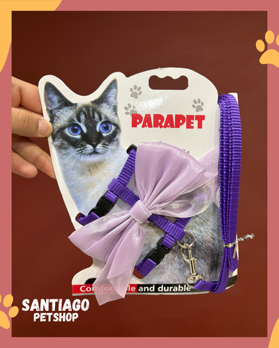 Conjunto para gatos con moño