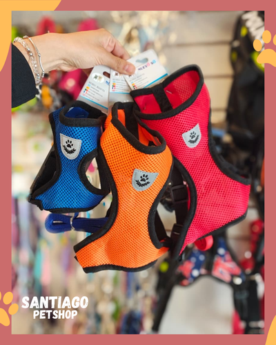 Conjunto pechera neoprene