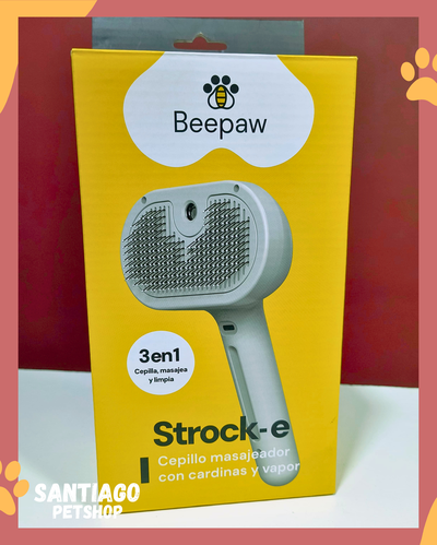 Cepillo a vapor con boton