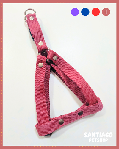 Pretal talle 2 Santiago Petshop