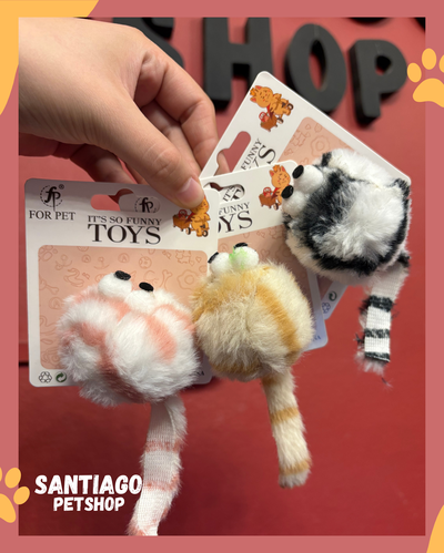 Rata pompon con cola