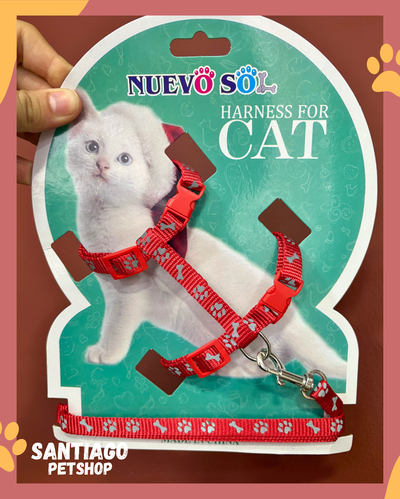 Conjunto para gatos conejito