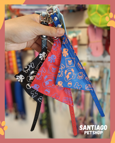 Collar con paƱuelo