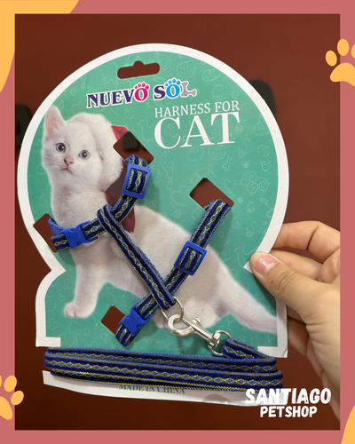 Conjunto para gatos diseño