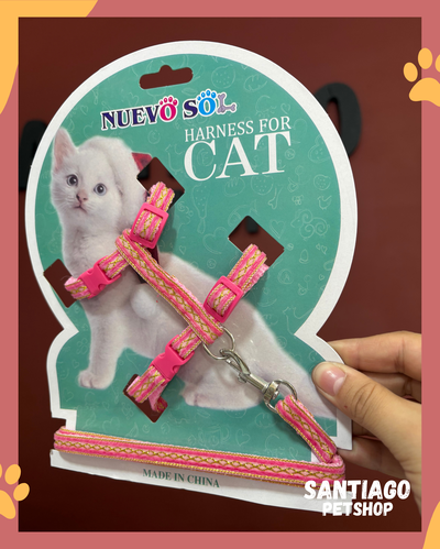 Conjunto para gatos diseño