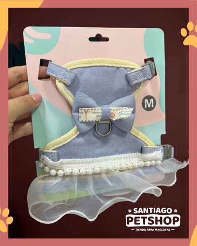 Conjunto pechera con pollerita