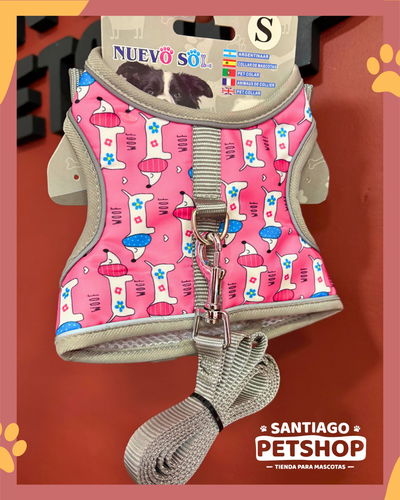 Conjunto pechera con dibujitos