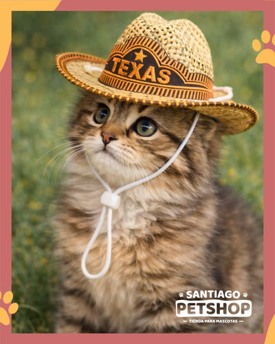 Gorrito cowboy