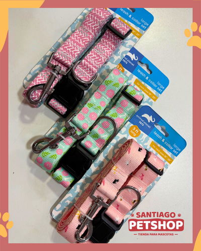 Set collar + correa 