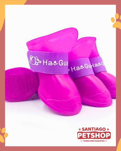 Zapatitos tipo crocs