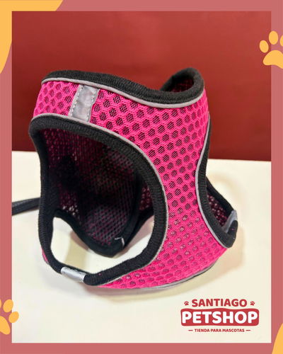 Conjunto Paseo Confort 