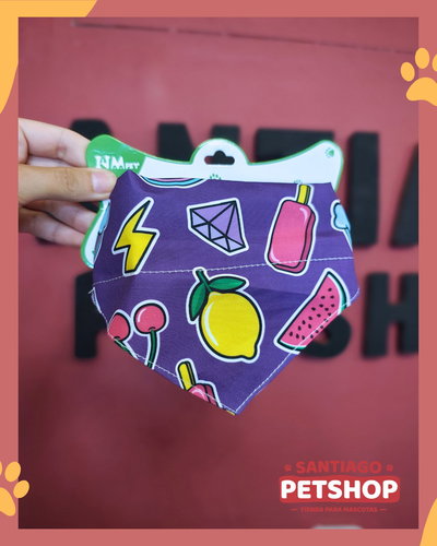 Collar Bandana Small