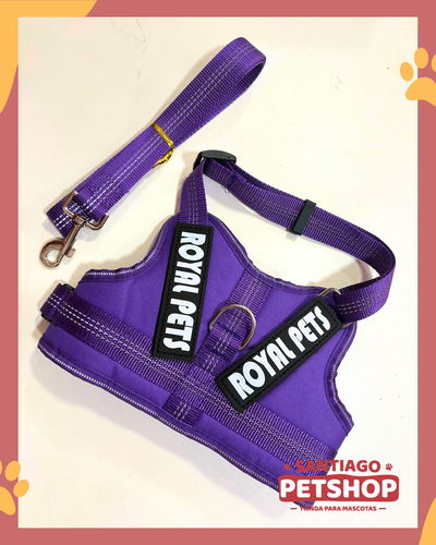 Conjunto Pechera+ Correa Royal