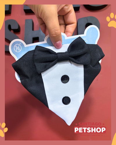 Collar Bandana Smoking