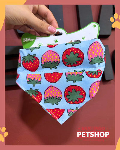 Collar Bandana Small