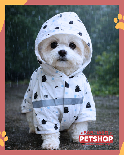 Piloto estampado Gatitos