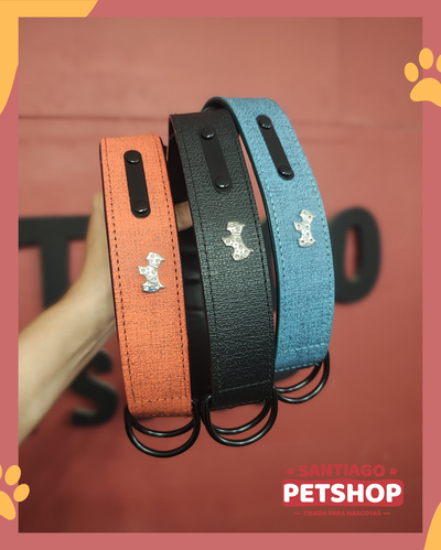Collar de cuero Dogs