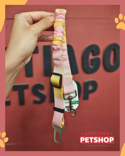 Cinturón de seguridad degrade elastizado 