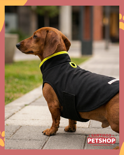 Impermeable Budapest Verde