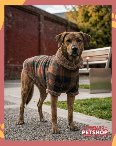 Buzo Escocés Marrón 