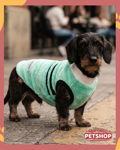 Sweater Clásico Aqua