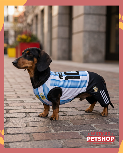 Enterito 4 patas Argentina 