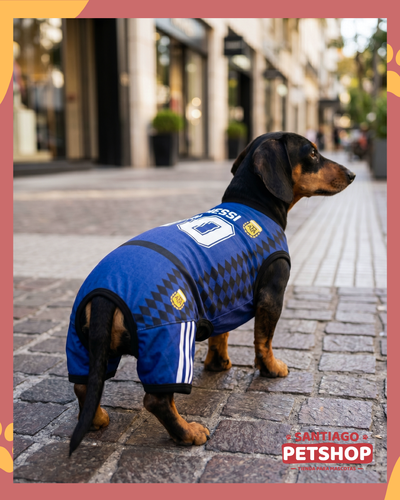 Enterito 4 patas Argentina retro