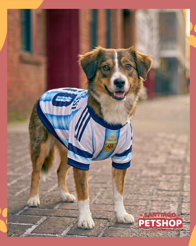 Camiseta Argentina Messi