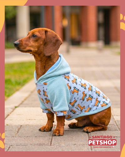 Buzo Salchis celeste