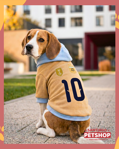 Buzo Argentina Dorado 