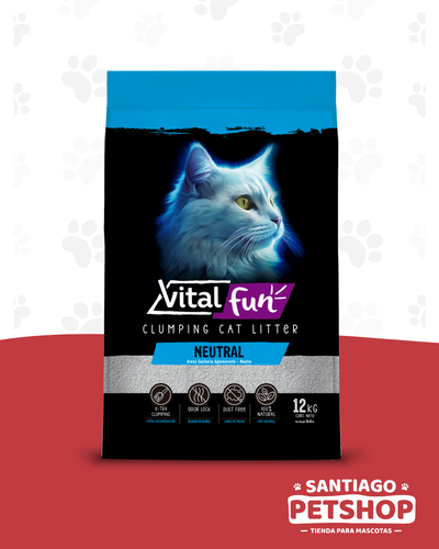 Vital Fun Piedras Aglomerantes Neutral
