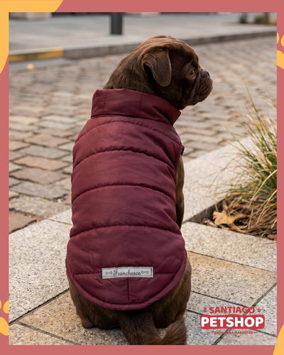 Puffer Berlín Bordo
