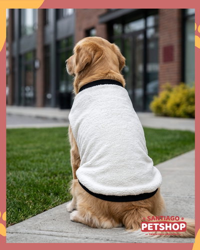 Sweater Clásico Blanco