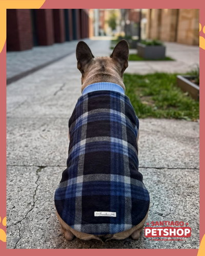 Sweater Clásico Cuadrille Azul