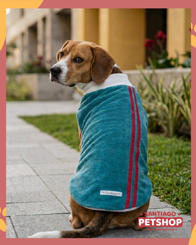 Sweater Clásico Verde