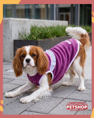 Sweater Clásico Violeta