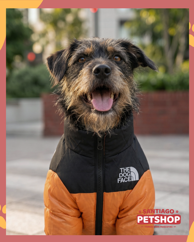 Puffer The Dog Face Naranja