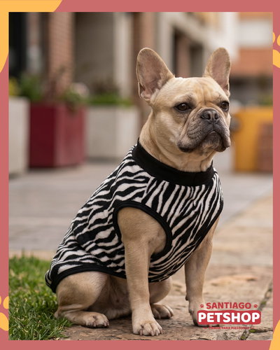 Sweater Clásico