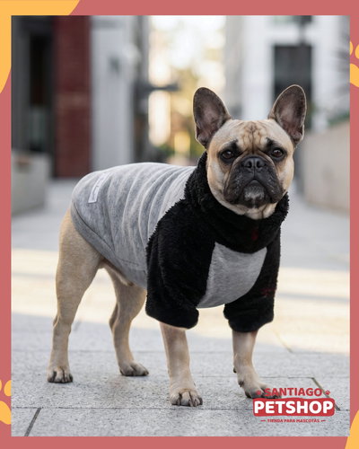 Buzo Boston Gris y negro