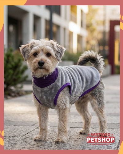 Sweater Clásico Gris