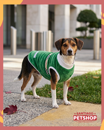 Sweater Clásico Verde